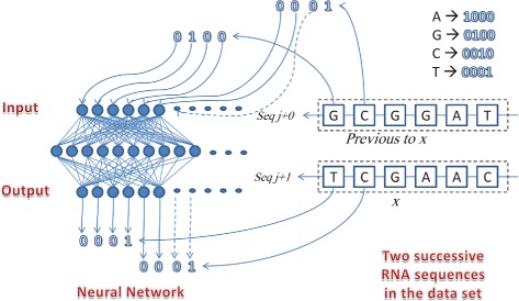 The prediction of virus mutation using neural networks and rough set techniques.