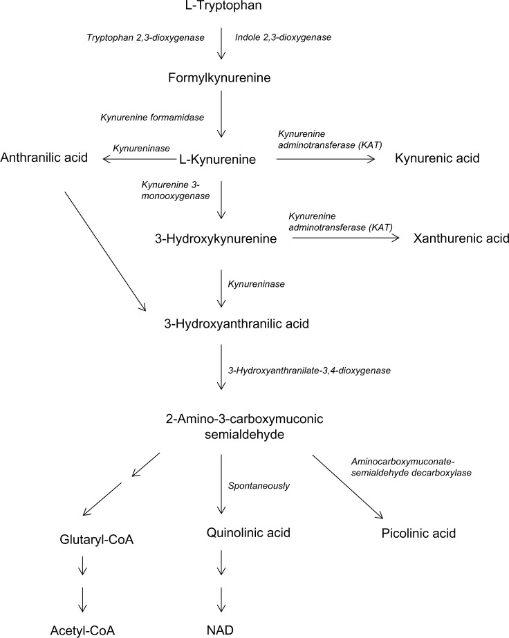 Effects of Various Kynurenine Metabolites on Respiratory Parameters of Rat Brain, Liver and Heart Mitochondria.