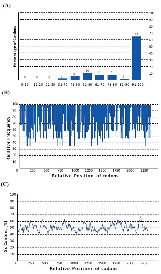 In Silico Design of a Chimeric Protein Containing Antigenic Fragments of Helicobacter pylori; A Bioinformatic Approach.