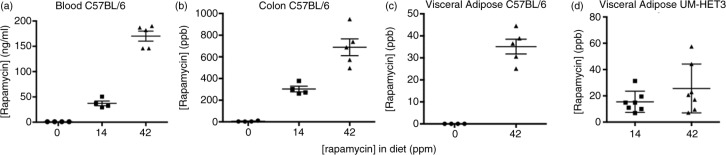 Adaptations to chronic rapamycin in mice.