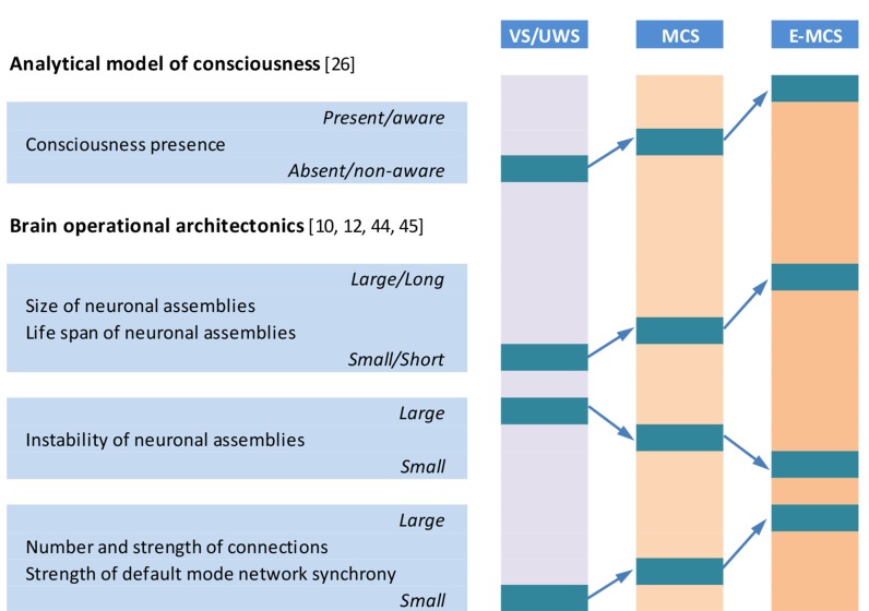 Long-Term (Six Years) Clinical Outcome Discrimination of Patients in the Vegetative State Could be Achieved Based on the Operational Architectonics EEG Analysis: A Pilot Feasibility Study.