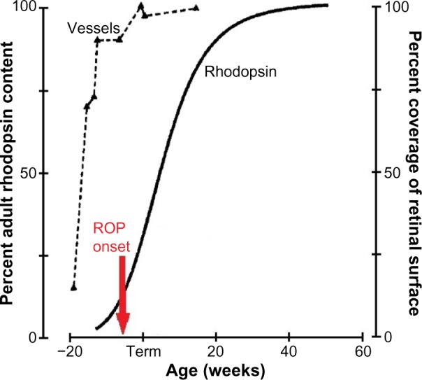 Retinal, visual, and refractive development in retinopathy of prematurity.