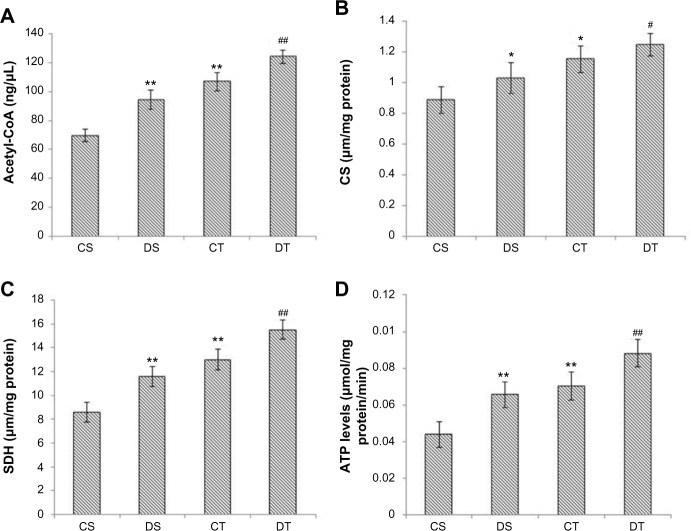 Preconditioning with ethyl 3,4-dihydroxybenzoate augments aerobic respiration in rat skeletal muscle.