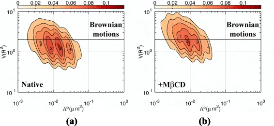 Exploring in vivo cholesterol-mediated interactions between activated EGF receptors in plasma membrane with single-molecule optical tracking.