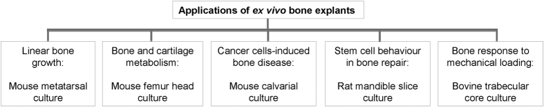 Models of ex vivo explant cultures: applications in bone research.