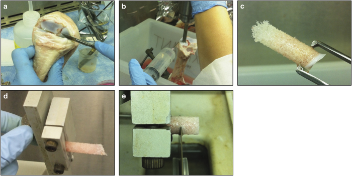 Models of ex vivo explant cultures: applications in bone research.