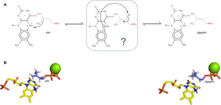 Molecular docking as a popular tool in drug design, an in silico travel.