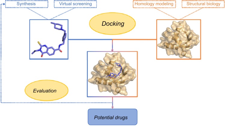 Molecular docking as a popular tool in drug design, an in silico travel.