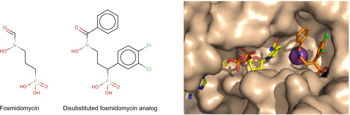 Molecular docking as a popular tool in drug design, an in silico travel.