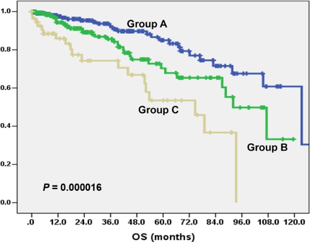 Chronic Myeloid Leukemia in Nigerian Patients: Anemia is an Independent Predictor of Overall Survival.