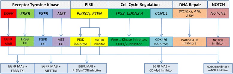 Genomically personalized therapy in head and neck cancer.