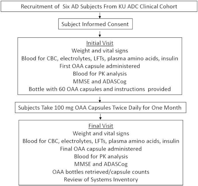 Tolerability and pharmacokinetics of oxaloacetate 100 mg capsules in Alzheimer's subjects