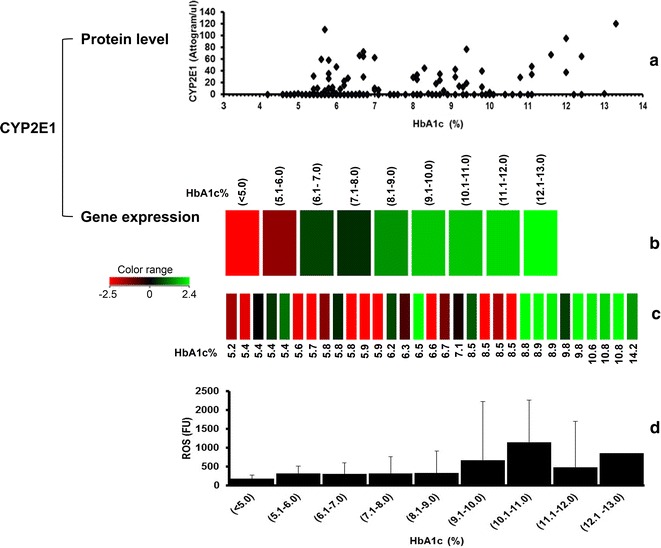 Targeted CYP2E1 quantification and its correlation to currently acceptable clinical biochemical indices.