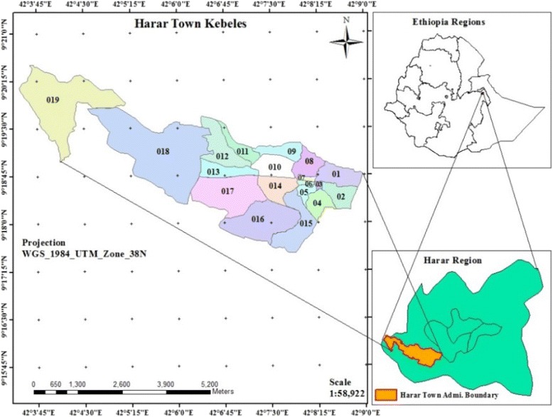 Fertility is below replacement in Harar Health and Demographic Surveillance System (Harar HDSS), Harar town, Eastern Ethiopia.