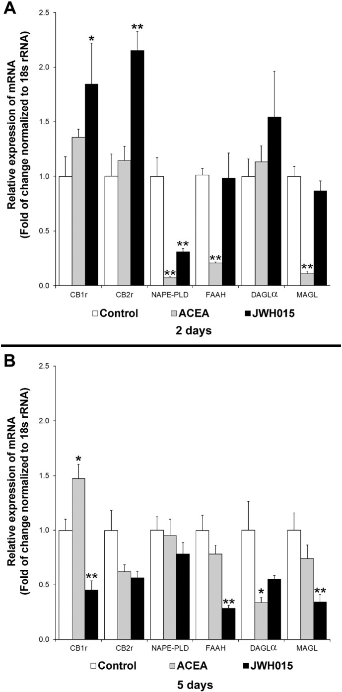 Prolonged activation of human islet cannabinoid receptors in vitro induces adaptation but not dysfunction