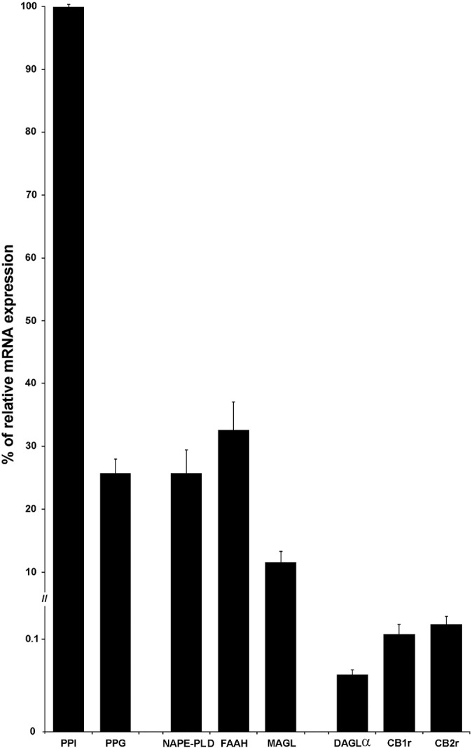 Prolonged activation of human islet cannabinoid receptors in vitro induces adaptation but not dysfunction