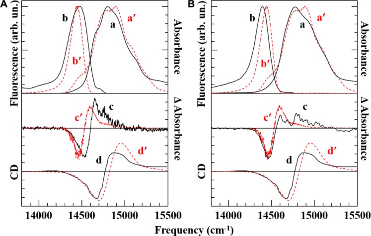 On the Conflicting Estimations of Pigment Site Energies in Photosynthetic Complexes: A Case Study of the CP47 Complex.