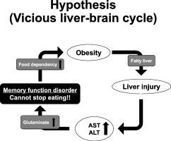 Impact of plasma transaminase levels on the peripheral blood glutamate levels and memory functions in healthy subjects