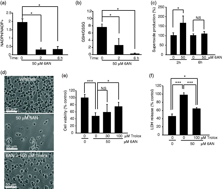 Antioxidant Protection of NADPH-Depleted Oligodendrocyte Precursor Cells Is Dependent on Supply of Reduced Glutathione.