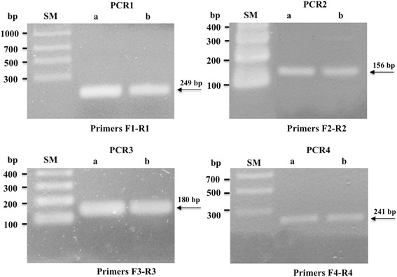 Gastrokine 1 mRNA in human sera is not informative biomarker for gastric cancer.