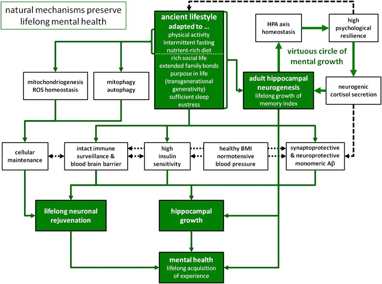 Unified theory of Alzheimer's disease (UTAD): implications for prevention and curative therapy.