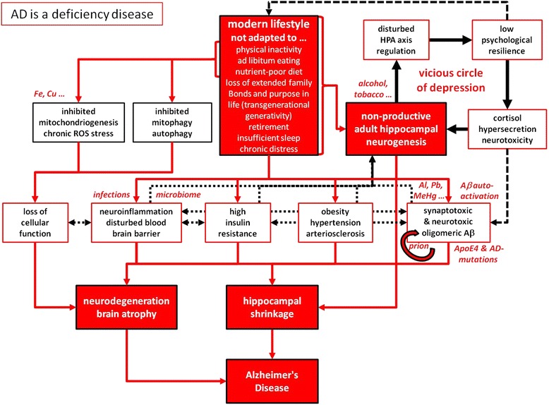 Unified theory of Alzheimer's disease (UTAD): implications for prevention and curative therapy.