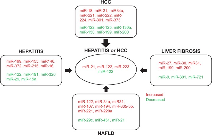 Tissue- and Serum-Associated Biomarkers of Hepatocellular Carcinoma.