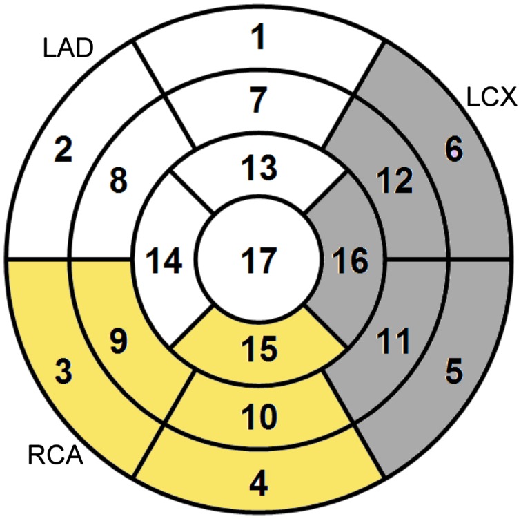 Patient-specific coronary blood supply territories for quantitative perfusion analysis.