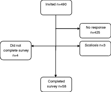 Adolescents with and without idiopathic scoliosis have similar self-reported level of physical activity: a cross-sectional study.