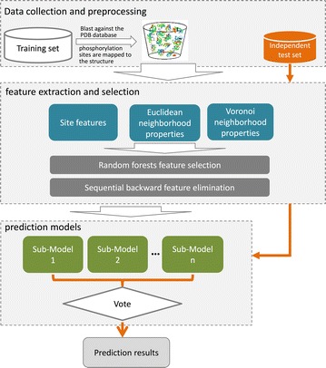 PredPhos: an ensemble framework for structure-based prediction of phosphorylation sites.