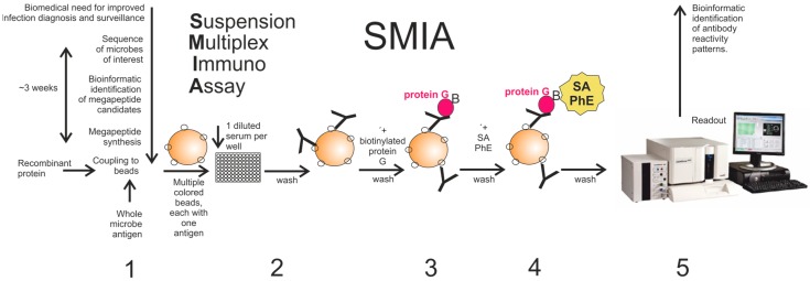 Serology in the Digital Age: Using Long Synthetic Peptides Created from Nucleic Acid Sequences as Antigens in Microarrays.