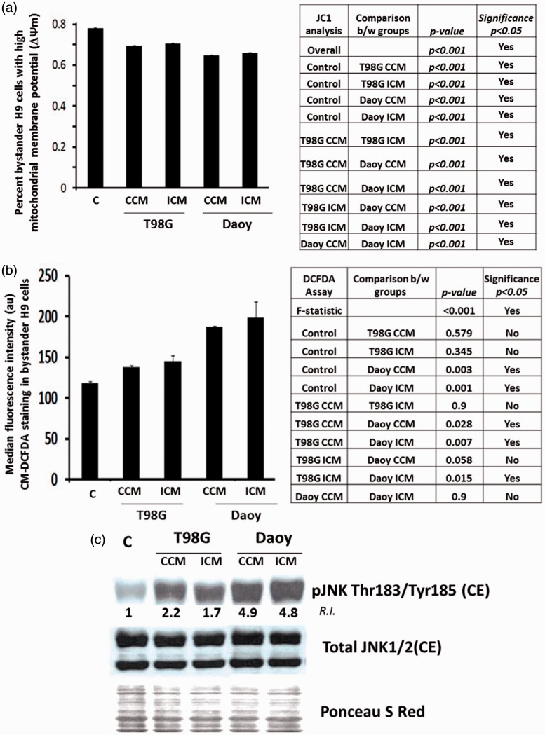 Diffusible Factors Secreted by Glioblastoma and Medulloblastoma Cells Induce Oxidative Stress in Bystander Neural Stem Progenitors.