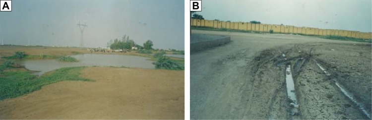 A Qualitative Evidence of the Breeding Sites of Anopheles arabiensis Patton (Diptera: Culicidae) in and Around Kassala Town, Eastern Sudan.