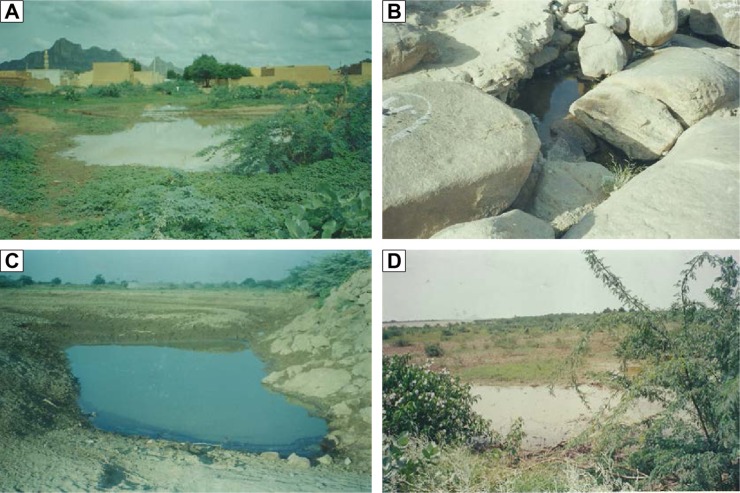 A Qualitative Evidence of the Breeding Sites of Anopheles arabiensis Patton (Diptera: Culicidae) in and Around Kassala Town, Eastern Sudan.