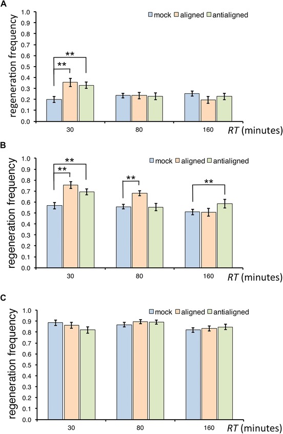 Externally imposed electric field enhances plant root tip regeneration.