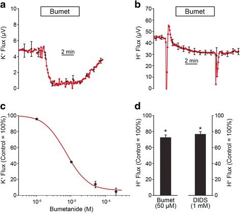 The gastric H,K-ATPase in stria vascularis contributes to pH regulation of cochlear endolymph but not to K secretion.