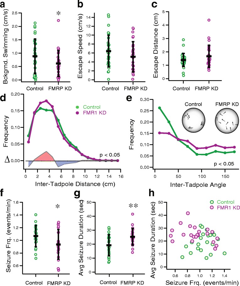 Fragile X mental retardation protein knockdown in the developing Xenopus tadpole optic tectum results in enhanced feedforward inhibition and behavioral deficits.