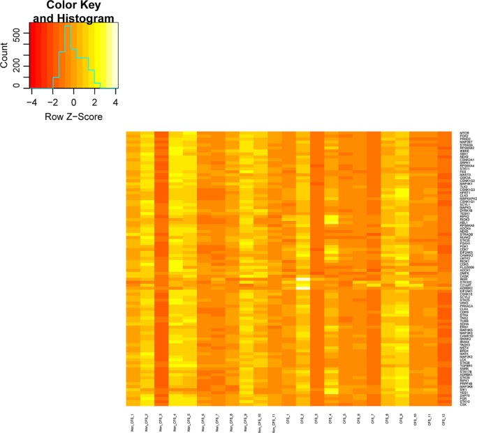 Dysregulation of Protein Kinase Gene Expression in NK Cells from Chronic Fatigue Syndrome/Myalgic Encephalomyelitis Patients.