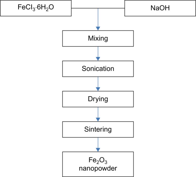 Synthesis, characterization, applications, and challenges of iron oxide nanoparticles.