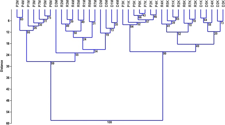 DNA methylation changes and TE activity induced in tissue cultures of barley (Hordeum vulgare L.).