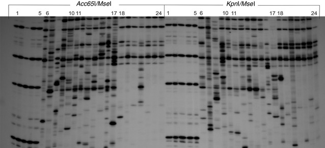 DNA methylation changes and TE activity induced in tissue cultures of barley (Hordeum vulgare L.).