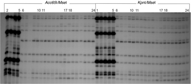 DNA methylation changes and TE activity induced in tissue cultures of barley (Hordeum vulgare L.).