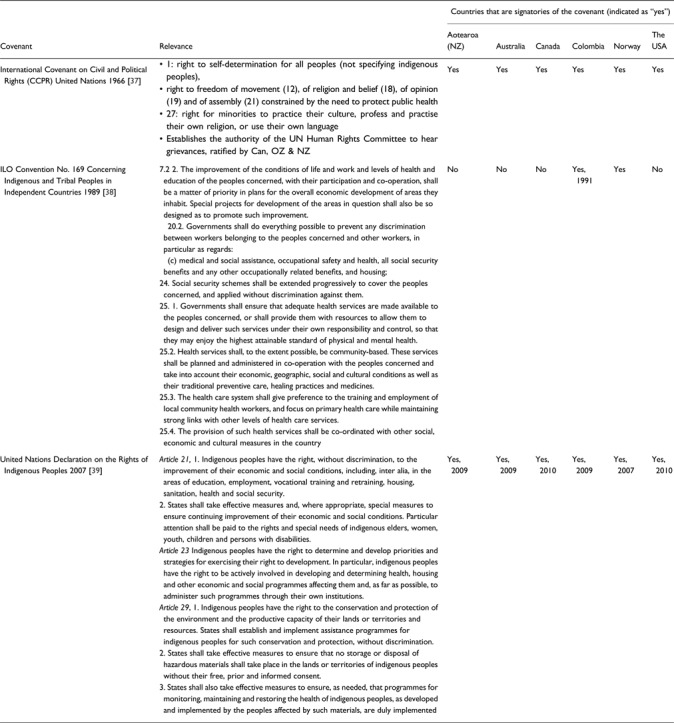 Responding to health inequities: Indigenous health system innovations.