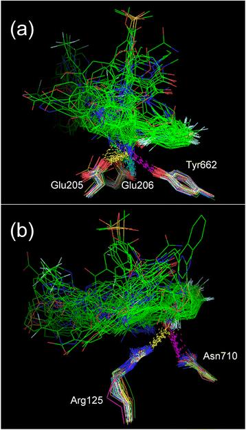 Comprehensive analysis of the Co-structures of dipeptidyl peptidase IV and its inhibitor