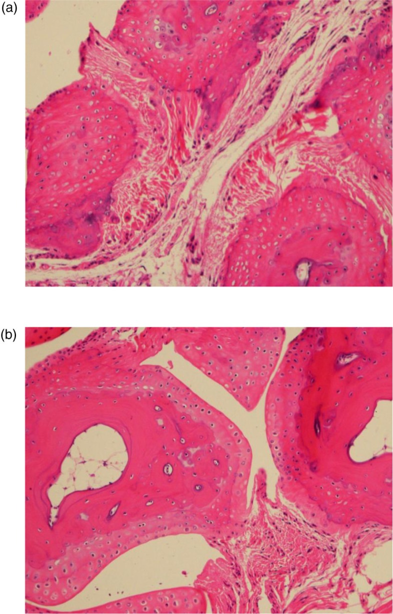 Grip strength is potentially an early indicator of age-related decline in mice.