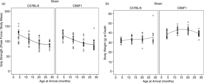 Grip strength is potentially an early indicator of age-related decline in mice.