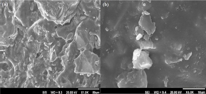 Influence of Incorporating Fluoroapatite Nanobioceramic on the Compressive Strength and Bioactivity of Glass Ionomer Cement.