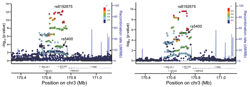 Variation in the glucose transporter gene SLC2A2 is associated with glycemic response to metformin.