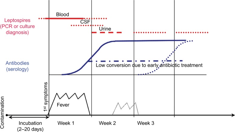 Leptospirosis: risk factors and management challenges in developing countries.