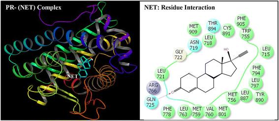 Endocrine disruption: In silico perspectives of interactions of di-(2-ethylhexyl)phthalate and its five major metabolites with progesterone receptor